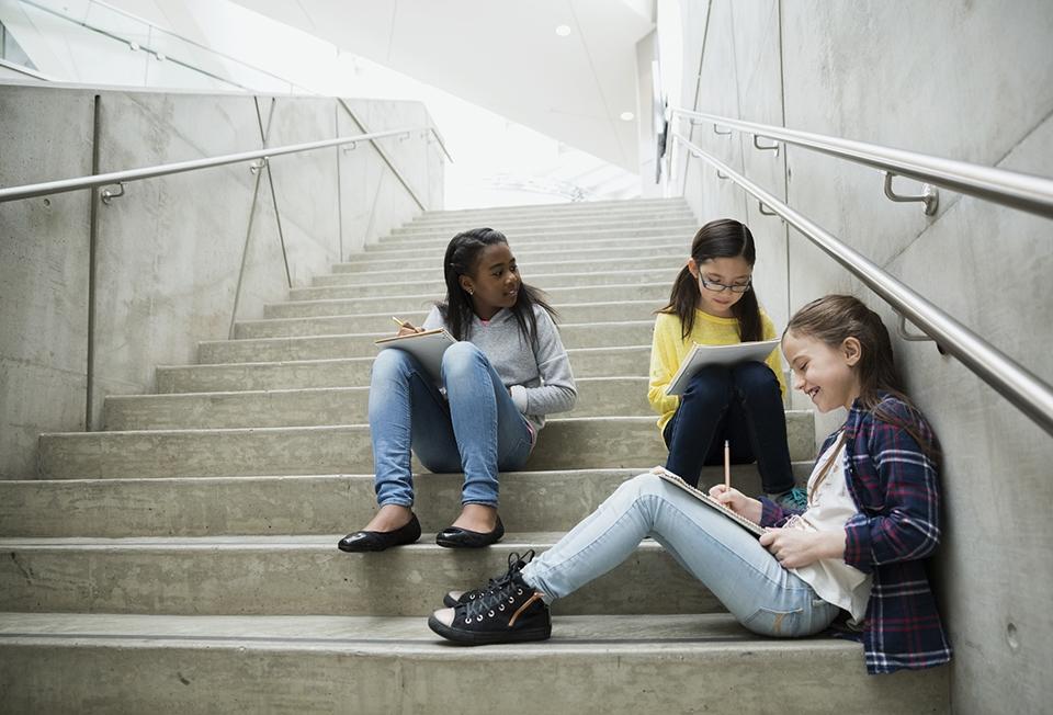 Écogeste collèges 2017